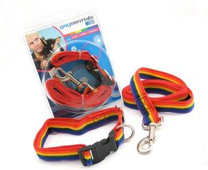 Gaysentials Pride Goods Pet Set