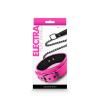 Electra Play Things Collar and Leash Set