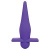 Rechargeable High Intensity Probe-Purple