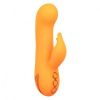 California Dreaming Montecito Muse Rabbit Style Vibrator