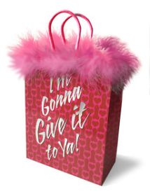 I'm Gonna Give It To Ya! Gift Bag for adult products